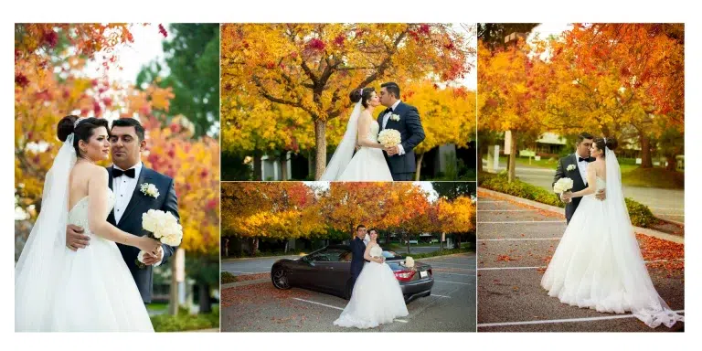 wedding photography danville