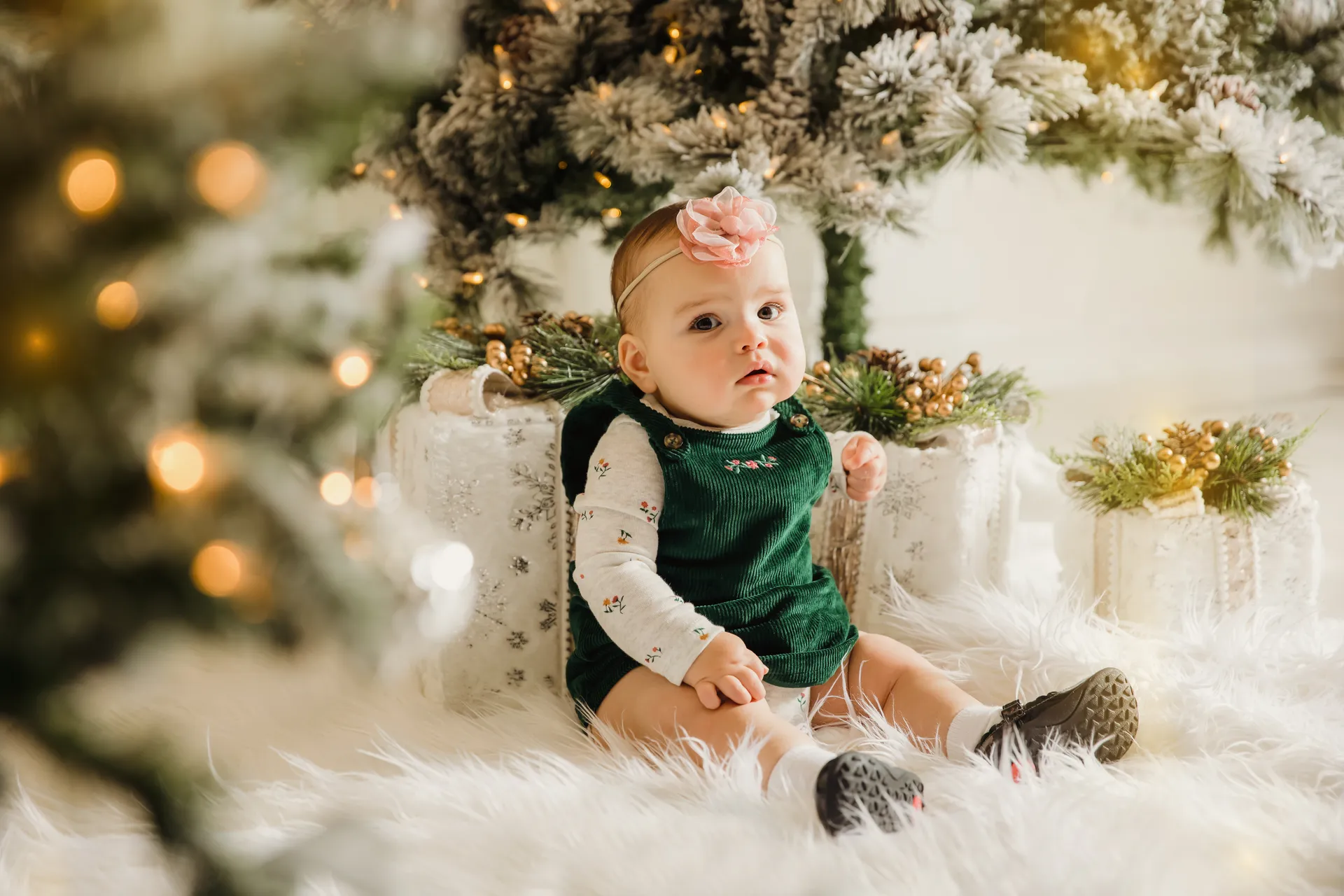 Christmas photography 1 christmas-photography-afsoon-elahi (28)