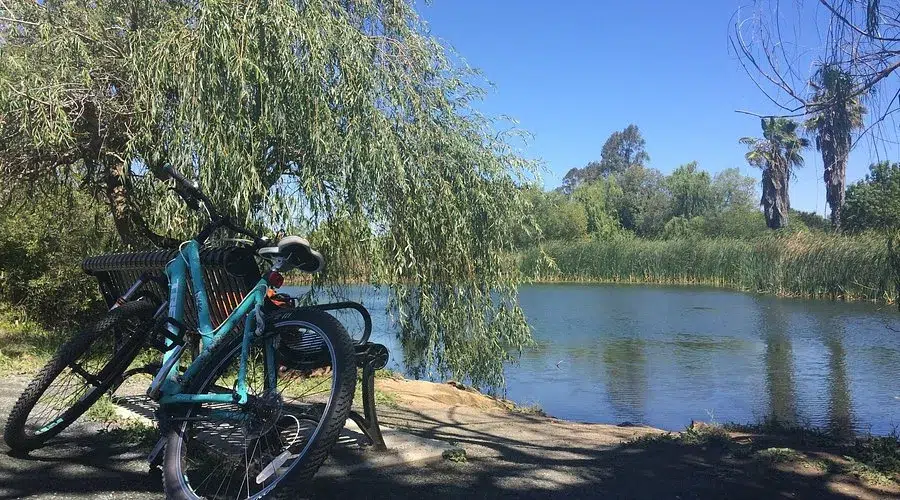 Newhall Community Park-Concord-Locations in Concord for Stunning Pregnancy Photos