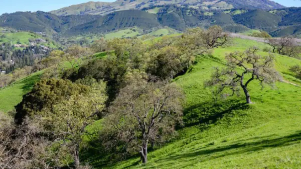 How to Capture Stunning Family Moments This Spring 5 Danville’s Mount Diablo