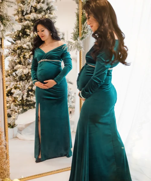christmas photography session form